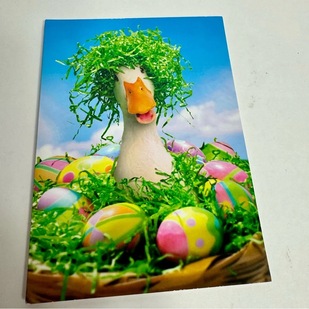 4 Avanti Greeting cards - Duck bird in basket with Easter eggs Holiday: Easter